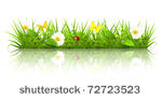 green grass  10eps