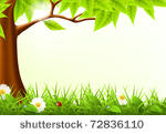 green tree frame  10eps