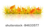 autumn grass  10 eps