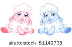 baby sheep