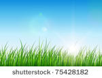 nature green background  grass...