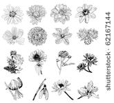 collection of 16 flower sketches