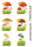 set of mushrooms vector...