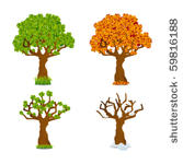four seasons trees
