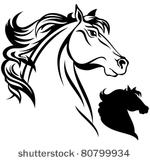 horse head vector illustration