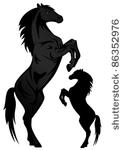 black stallion vector...