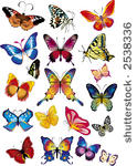set different multicolored...