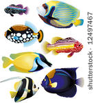tropical fish collection  ...