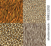 set of leopard  gepard. tiger...