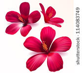 three vector realistic purple...