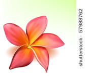 photo realistic vector...