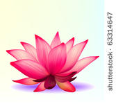 vector photo realistic lotus...