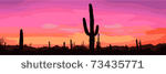 mexican desert sunset with...