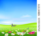 vector green field