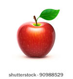 vector illustration of detailed ...