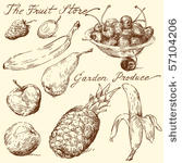 fruit doodles