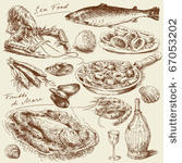 hand drawn sea food