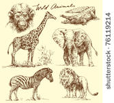 wild animals