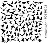 set of birds silhouette