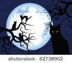 halloween. mystical night. the...