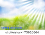 gorgeous vector spring...