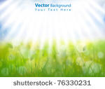 gorgeous vector spring...