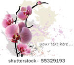 vector orchid flower greeting...