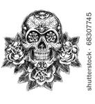 skull and roses sketch vector