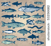vintage fish set  vector