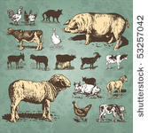 farm animals vintage set  vector