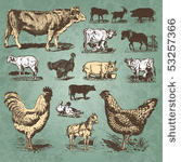 farm animals vintage set  vector