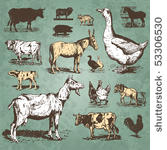 farm animals vintage set  vector