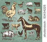 farm animals vintage set  vector