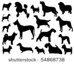 dog breed