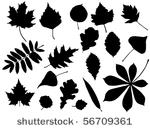 foliage