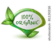 green 100  organic pointer with ...