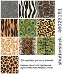 set seamless patterns animals....