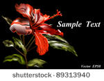 bright red bud of the chinese...