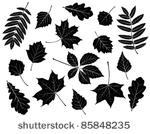 set of silhouettes of leaves....