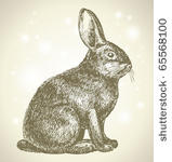 new year bunny beautiful drawing