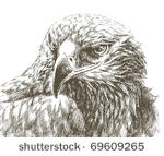 eagle line art