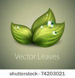 vector green leaves icon