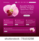 beauty website template