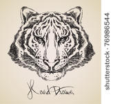 tiger drawing high quality...