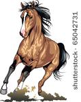 horse