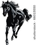 horse