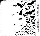 bats  bats and more bats.