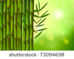 beautiful bamboo border. vector ...