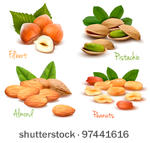 big collection of ripe nuts....