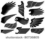 wings collection